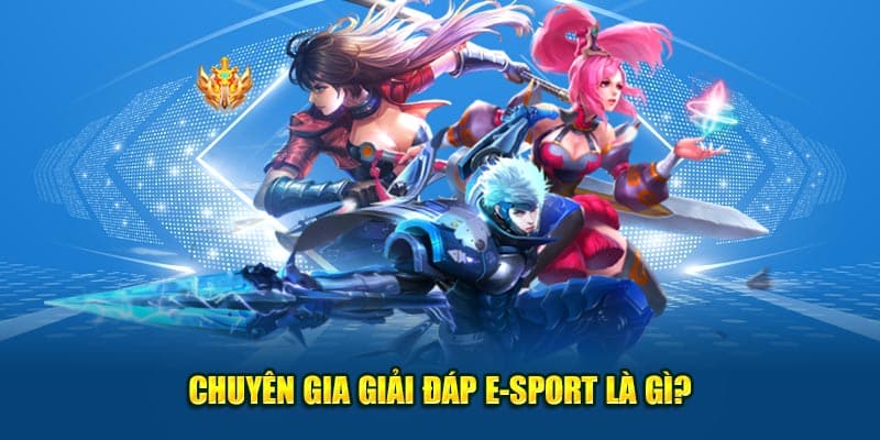 E-sport Là Gì? Khái Niệm, Quy Tắc Và Cách Dự Đoán 1 Chuyên gia giải đáp E-sport là gì?