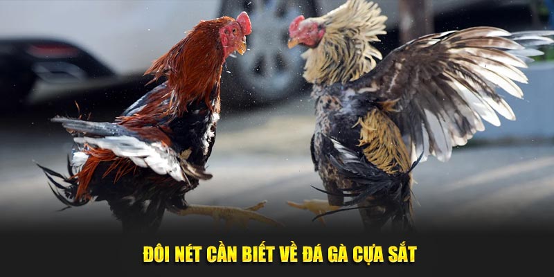 Đá Gà Cựa Sắt Kubet88 - Điểm Đến Thỏa Mãn Với Mọi Đam Mê 1 Đôi nét cần biết về bộ môn đá gà cựa sắt