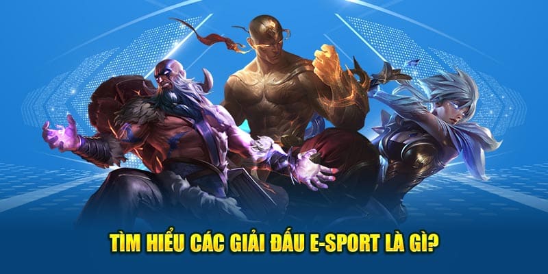 E-sport Là Gì? Khái Niệm, Quy Tắc Và Cách Dự Đoán 2 Tìm hiểu các giải đấu E-sport là gì?