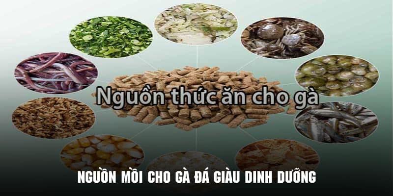 Mồi Cho Gà Đá - Bí Kíp Bổ Sung Dinh Dưỡng Từ Kubet88 2 Những loại mồi cho gà đá nâng cao sức khỏe và thể trạng